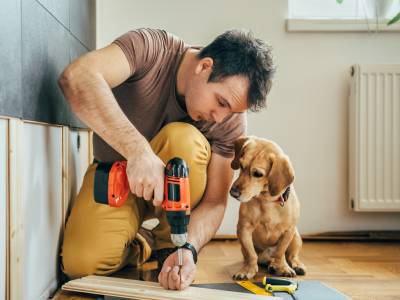 A Dozen Pet-Friendly Home Renovation Projects